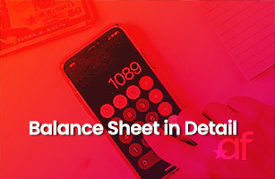 Balance Sheet in Detail