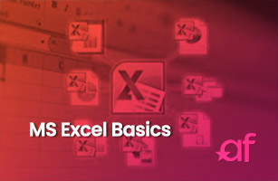 MS Excel Basics